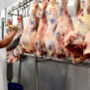 Embargo da UE amea&ccedil;a avan&ccedil;o da carne de MS no mercado europeu