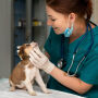 Essa semana celebramos o Dia do Veterin&aacute;rio, e a data acende alerta sobre a sa&uacute;de mental deles 