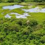 Efeitos do super-El Ni&ntilde;o no Pantanal de MS preocupam o governo federal