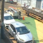 "Gato" encontrado em sarau LGBT+ era da Prefeitura, diz vereadora 