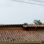 Idoso sobe de escada em telhado, cai e morre em Campo Grande