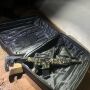 Homem aponta arma para o Batalh&atilde;o de Choque e morre em confronto