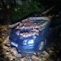 Temporal com ventos de quase 80 km/h derruba &aacute;rvores e causa estragos em Campo Grande