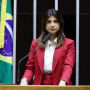 Deputados federais de MS votam a favor do perd&atilde;o de d&iacute;vidas a MEIs