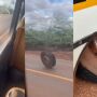 Pneu se solta de ônibus escolar em movimento na MS-164