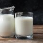 Nutr&oacute;loga explica se beber leite &eacute; recomendado ou n&atilde;o na fase adulta