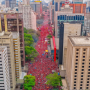 Movimento pr&oacute; Lula re&uacute;ne 1 milh&atilde;o de apoiadores na Avenida Paulista