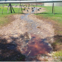 Frigor&iacute;fico em Sidrol&acirc;ndia ser&aacute; investigado por vazar v&iacute;sceras em fazenda