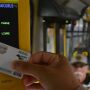 &Ocirc;nibus t&ecirc;m tarifa zero e movimento intenso em dia de vota&ccedil;&atilde;o em Campo Grande