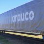 Arauco ganha aval para usar ferrovia e levar celulose de MS a Santos