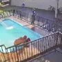 Homem &eacute; morto a tiros dentro de piscina durante festa em Campo Grande
