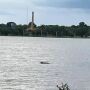 Corpo de homem &eacute; confundido com capivara em lagoa de Tr&ecirc;s Lagoas