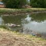 Lixo se acumula em piscinão que transbordou e deixou moradores ilhados em MS