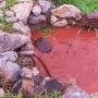 Lama da minera&ccedil;&atilde;o invade fonte que abastece comunidade pantaneira