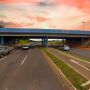 Capital das araras recebe homenagem no viaduto da UFMS