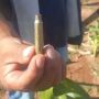 Indígenas denunciam novos ataques a tiros em Naviraí