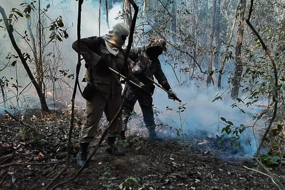 Escassez de água e fogo subterrâneo dificultam combate a incêndio no  Pantanal de MT perto da fronteira com a Bolívia, Mato Grosso