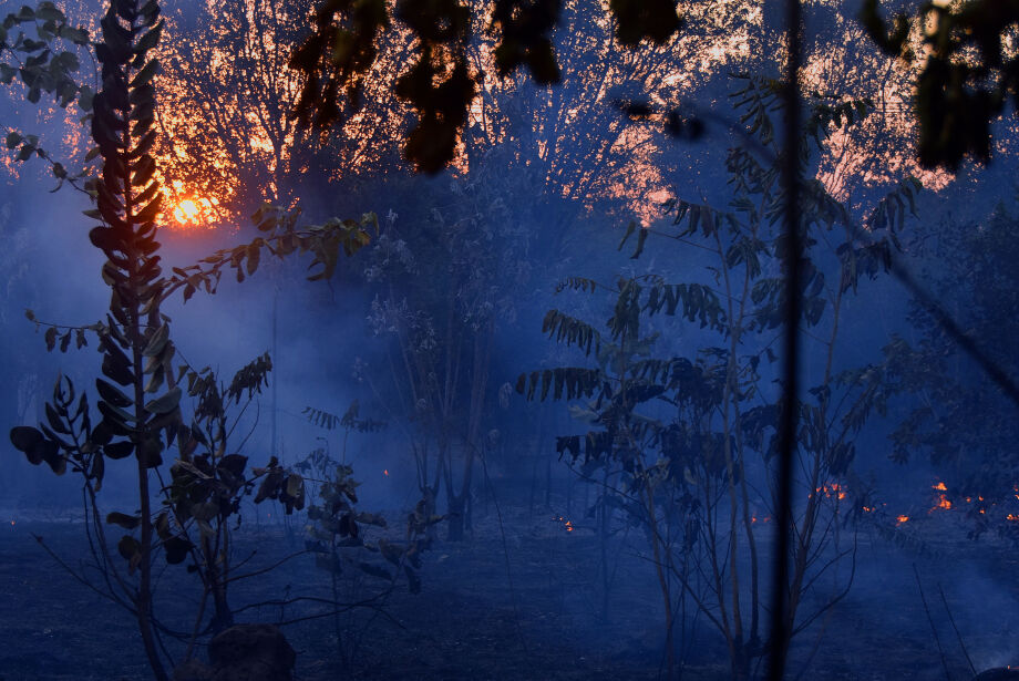 Incêndios florestais atingiram diferentes regiões de MS, mas a região pantaneira foi uma das mais castigadas