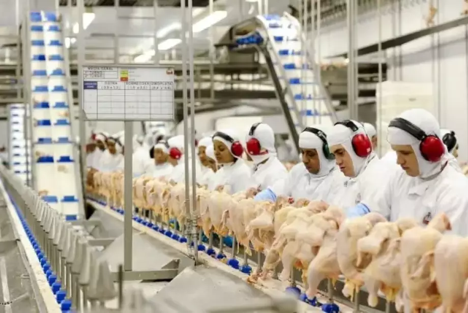 As exportações para os principais compradores de frango tendem a ficar suspensas por um período de dois meses