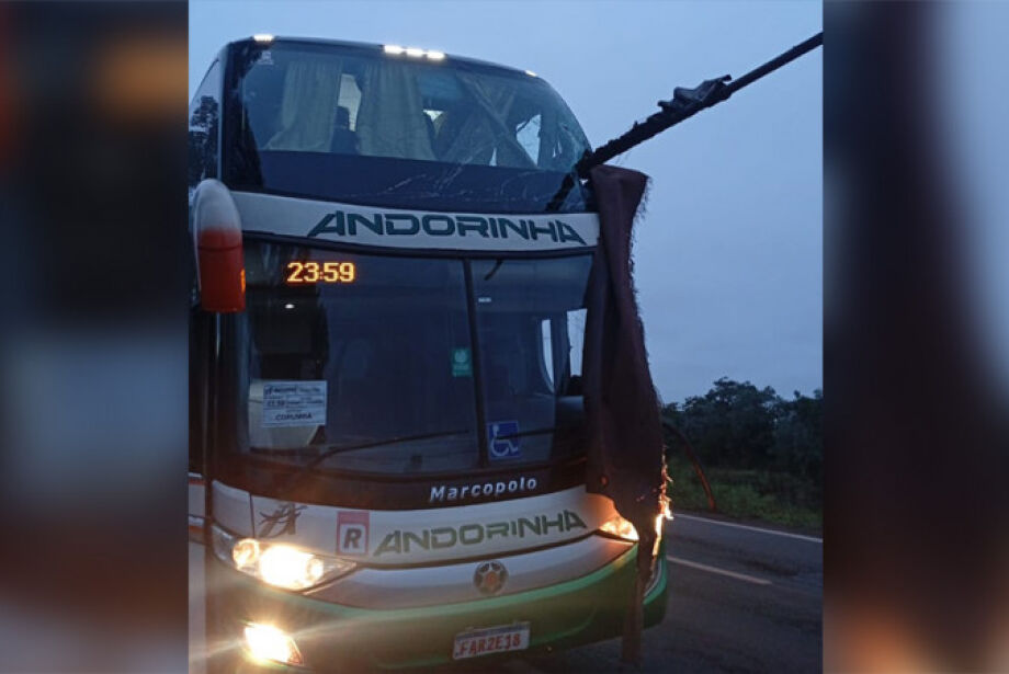 Idoso de 84 anos é a segunda vítima atingida por barra de ferro em acidente na BR-262 - Correio do Estado