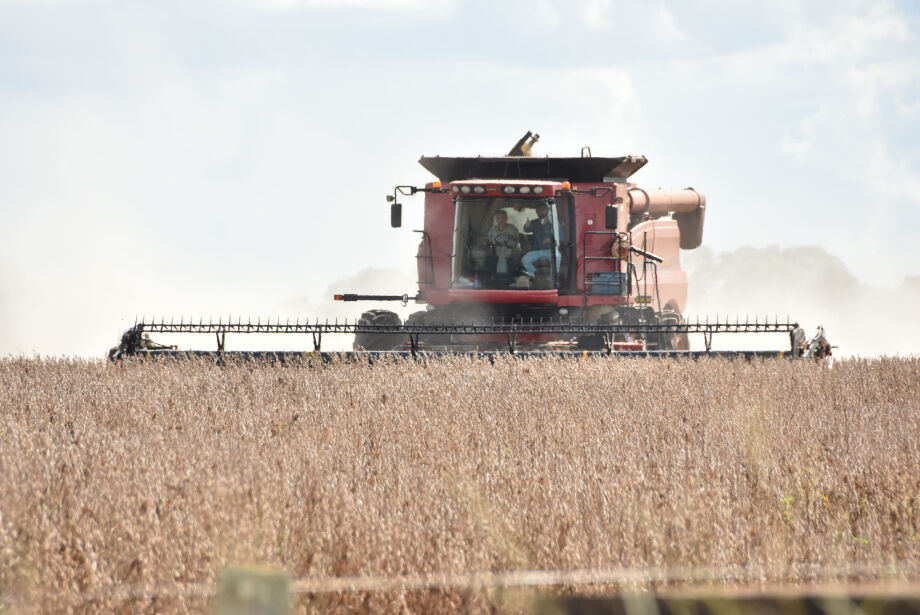 Em média, produtores de MS colheram 51,79 sacas por hectare, ante 48,8 sacas no período anterior, também afetado pela estiagem