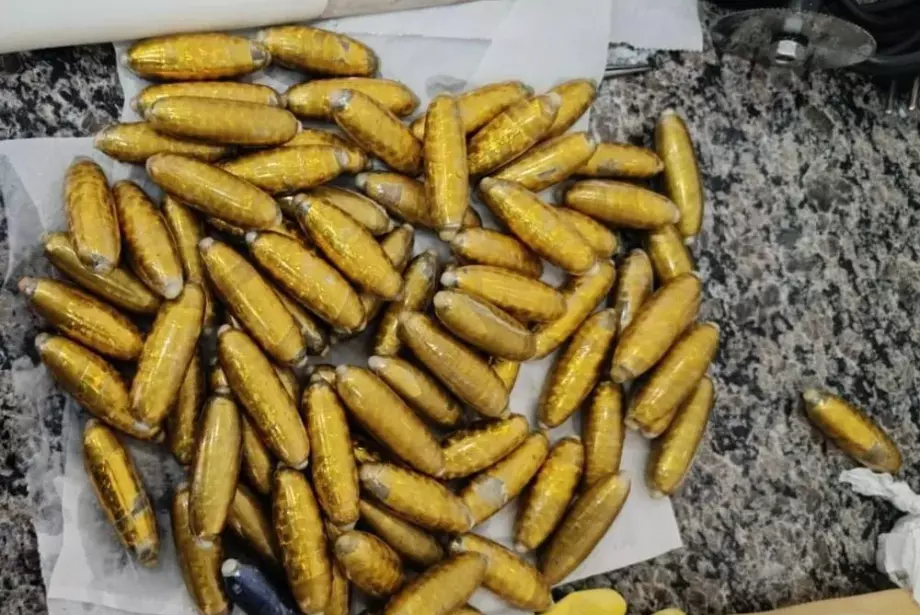 Perícia encontrou quase um quilo de cocaína nas cápsulas que permaneceram intactas no estômago da mulher boliviana