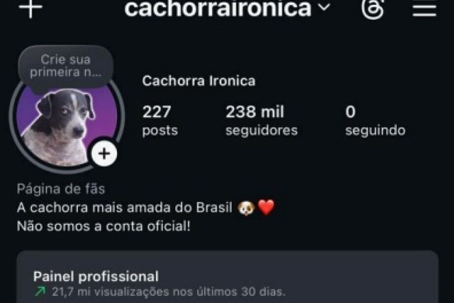 Instagram desabilitou perfil e deixou seu criador sem renda