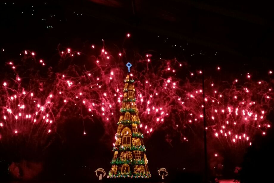 Árvore de Natal de 85 metros de altura é inaugurada em cartão postal do Rio de Janeiro - Correio do Estado Árvore de Natal de 85 metros de altura é inaugurada em cartão postal do Rio de Janeiro - Correio do Estado