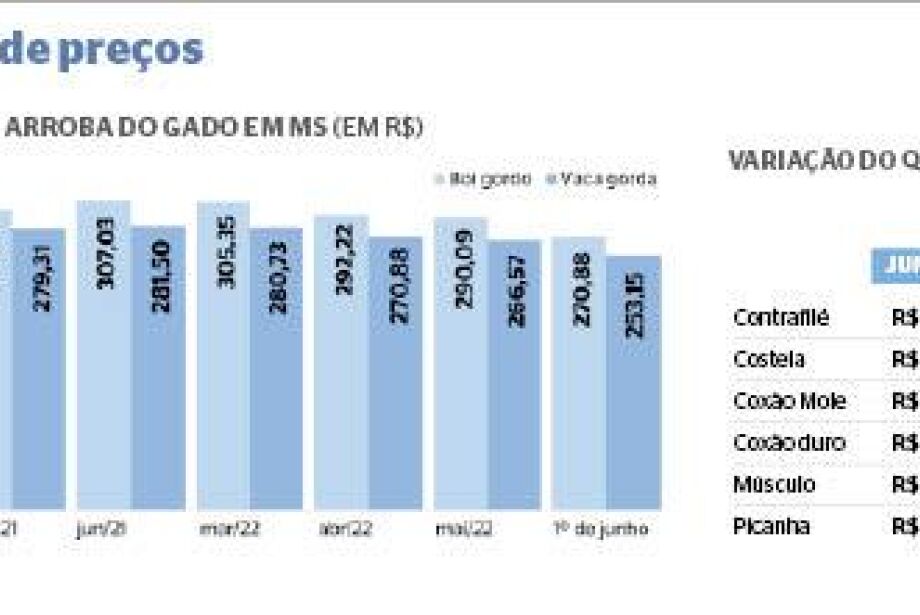 Osso é vendido e não dado': alta no preço da carne bovina reduz