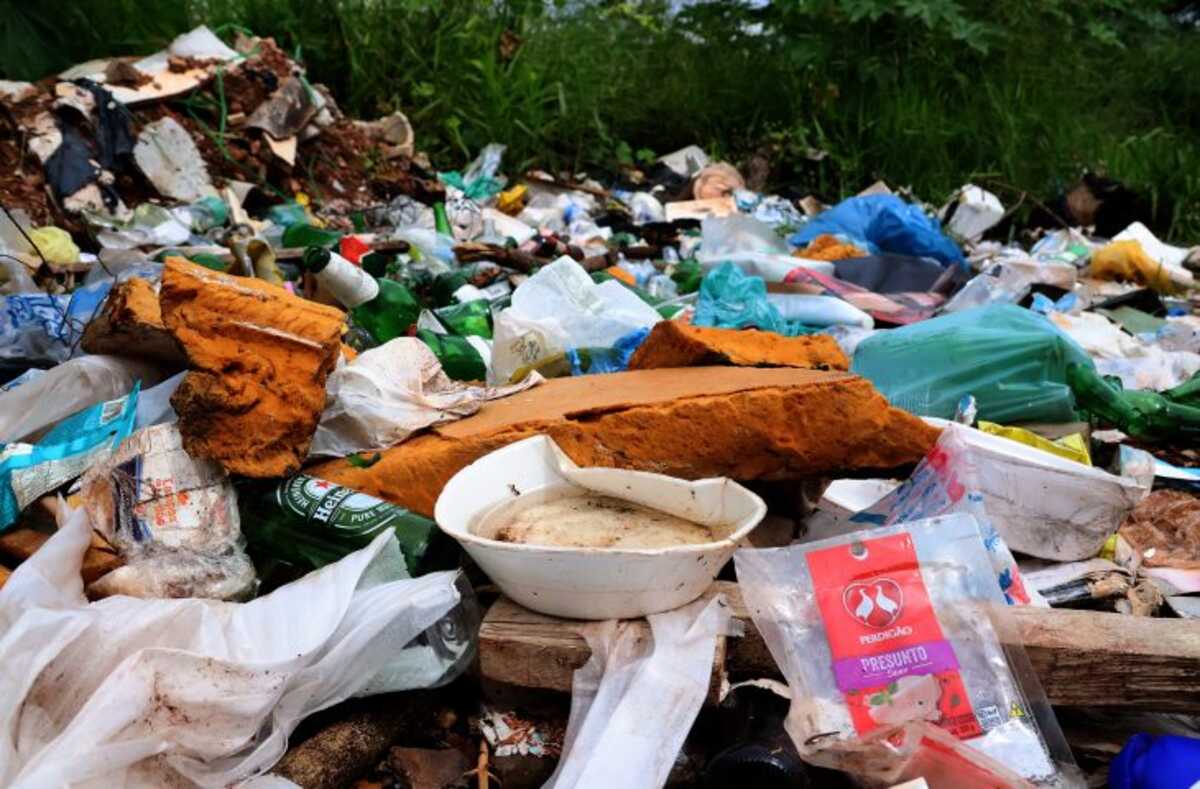 Vacina contra a dengue: Fiocruz quer produção nacional, solicitação à saúde