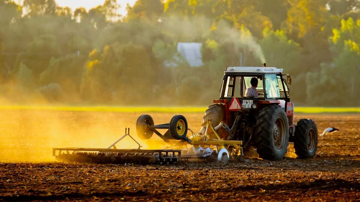 Campo Grande supera R$ 1 bilhão em produção agrícola em 2025