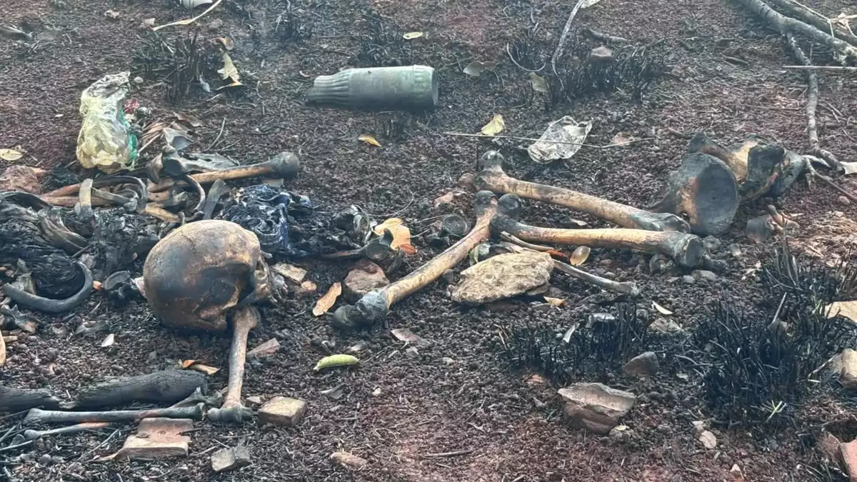 Ossada humana é encontrada em mata; Polícia apura caso em Campo Grande