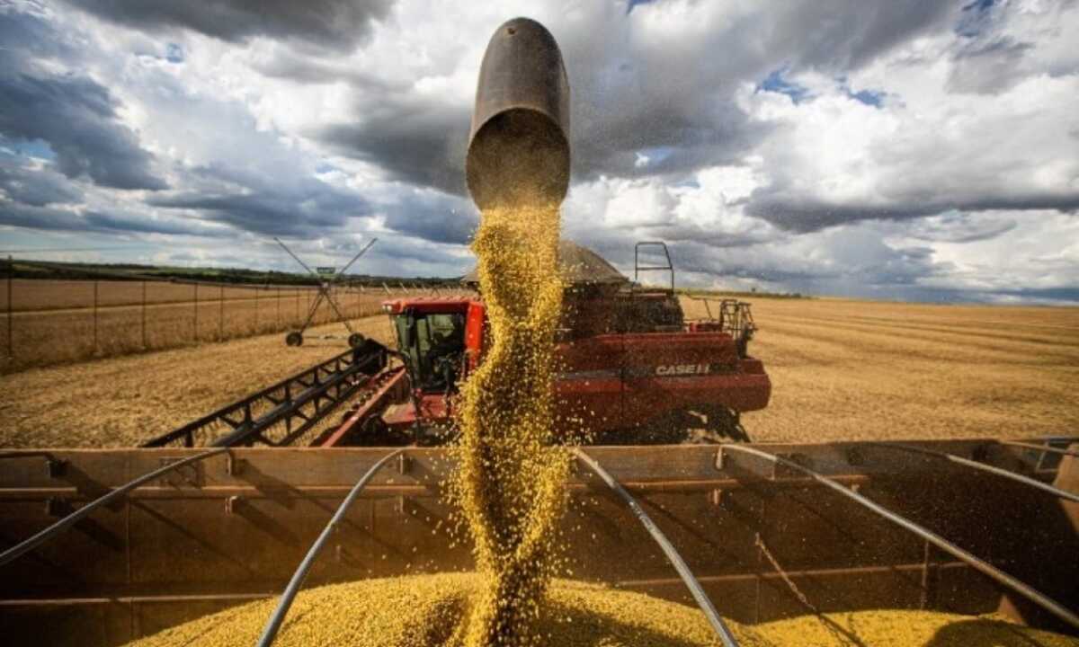 Previsão de chuva nos EUA interrompe disparada no preço da soja em MS