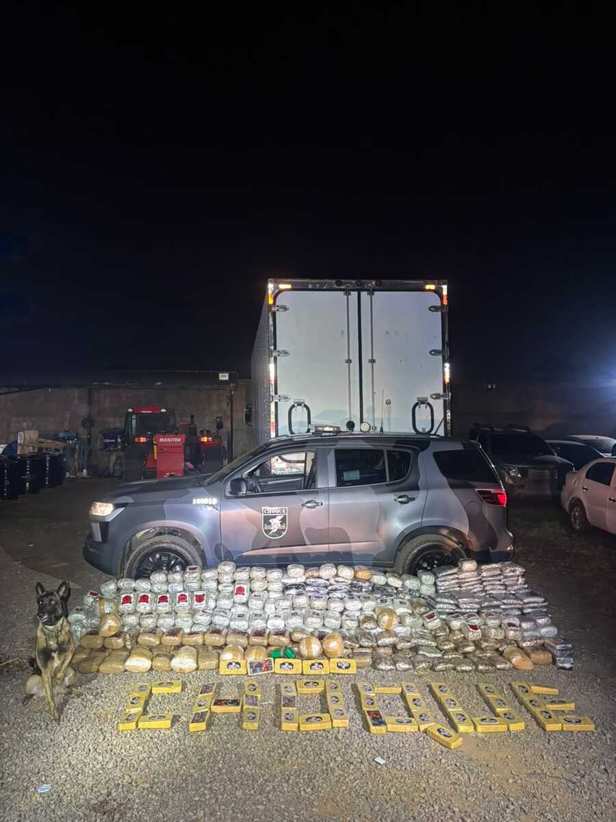 Cão farejador do Choque encontra 365 kg de cocaína e maconha em residência