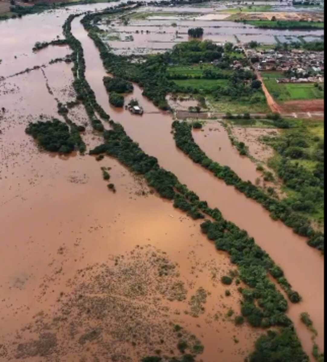 Conselho Ambiental aprova desmatamento de mais de 7 mil hectares em área de cerrado próxima ao Pantanal