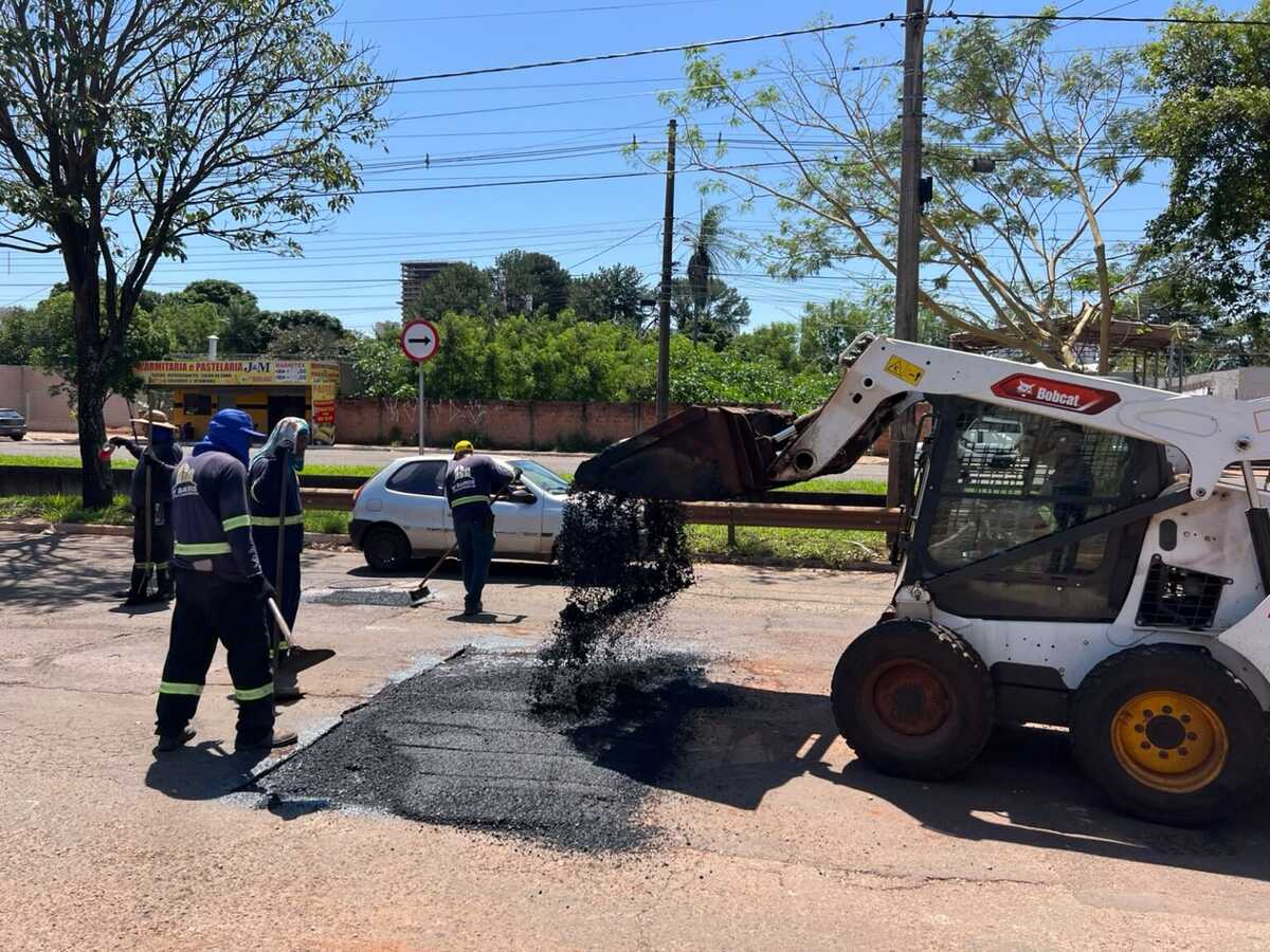 Conselho aprova desmatamento de mais de 7 mil hectares em Porto Murtinho