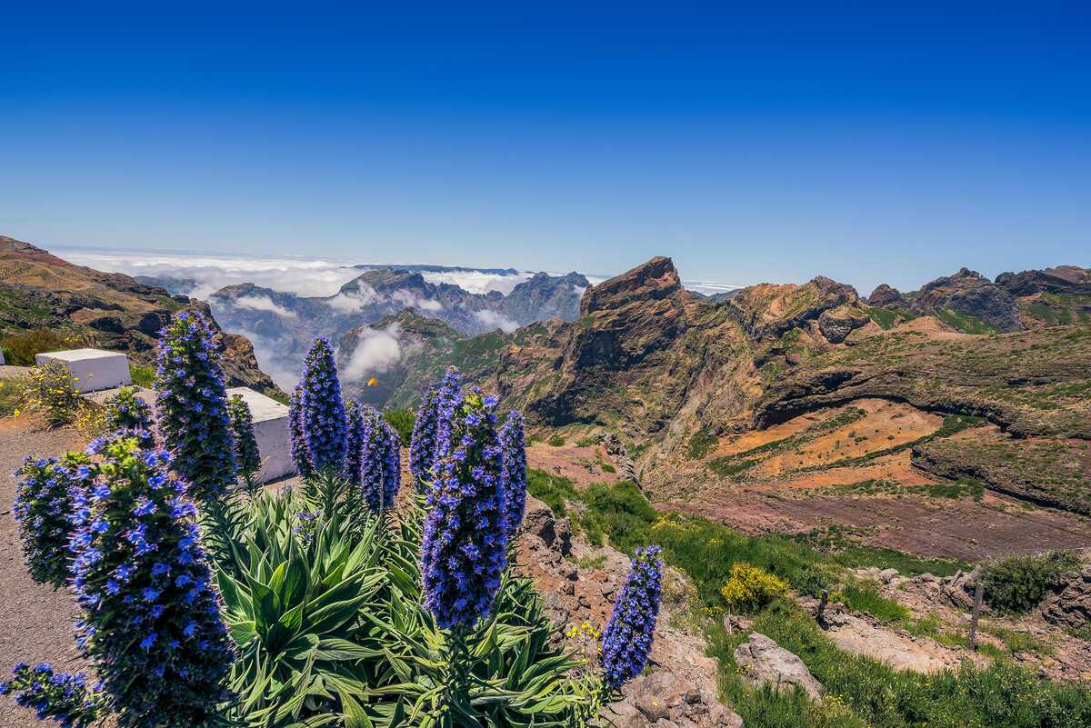 Conjunto de jogos de madeira, montanhas florestais e um ônibus em