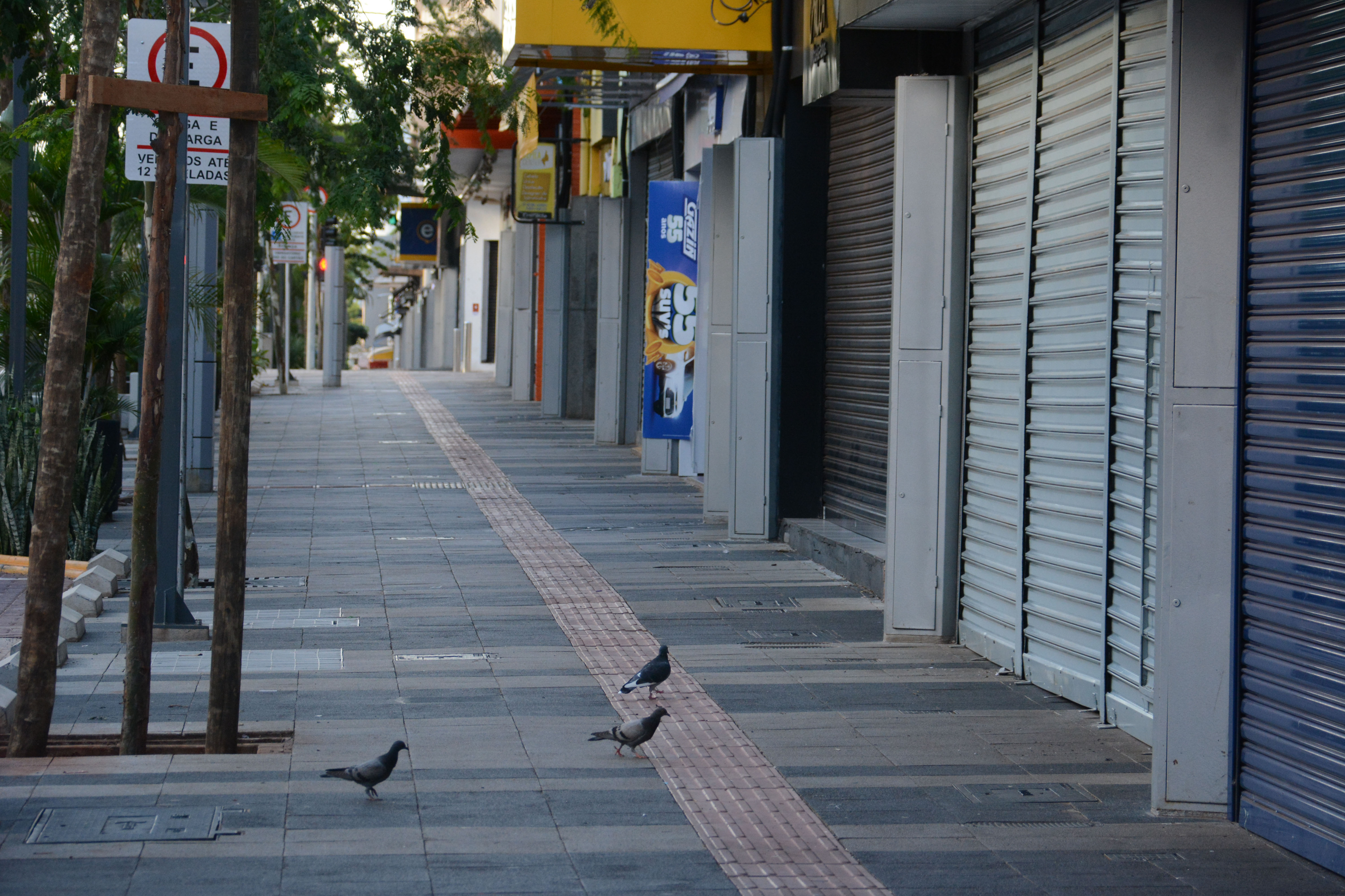 "ゼネスト" ボルソナリスタは、貿易、農業、輸送業者を閉鎖したい