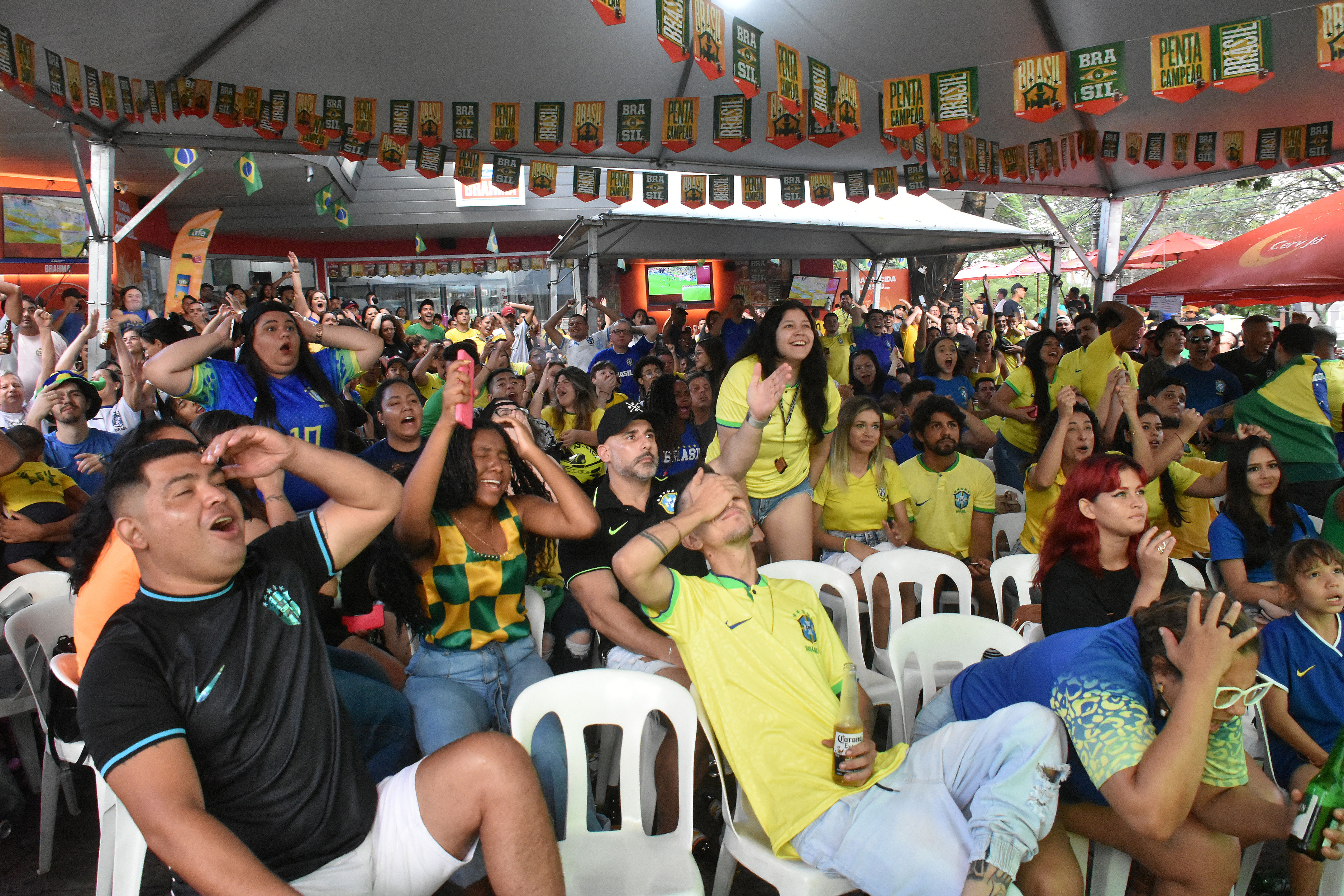 Copa Coca-Cola 30, Nos intervalos dos jogos, não faltou ani…