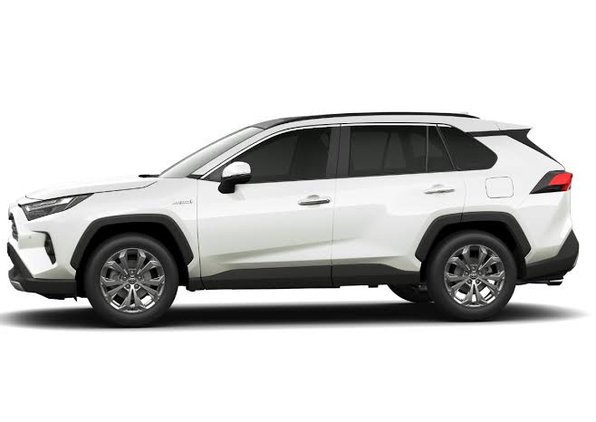 Novo Rav4 Hybrid 