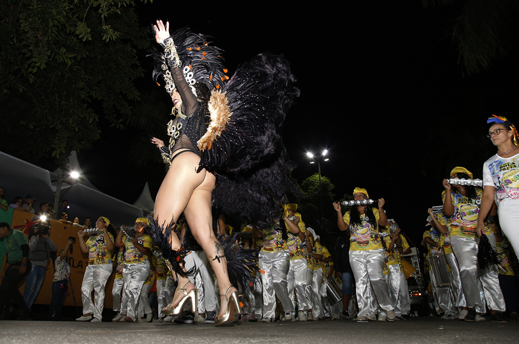 Desfile dos blocos oficiais foi nesse sábado (18)