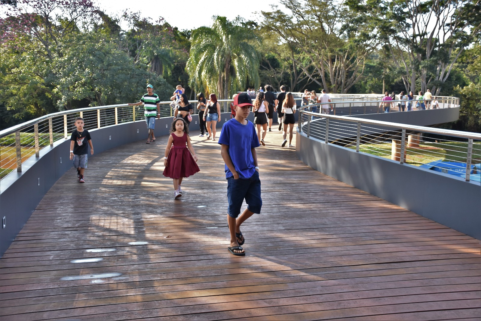 Passarela permite contemplação de aves e da flora da região do Parque das Nações Indígenas