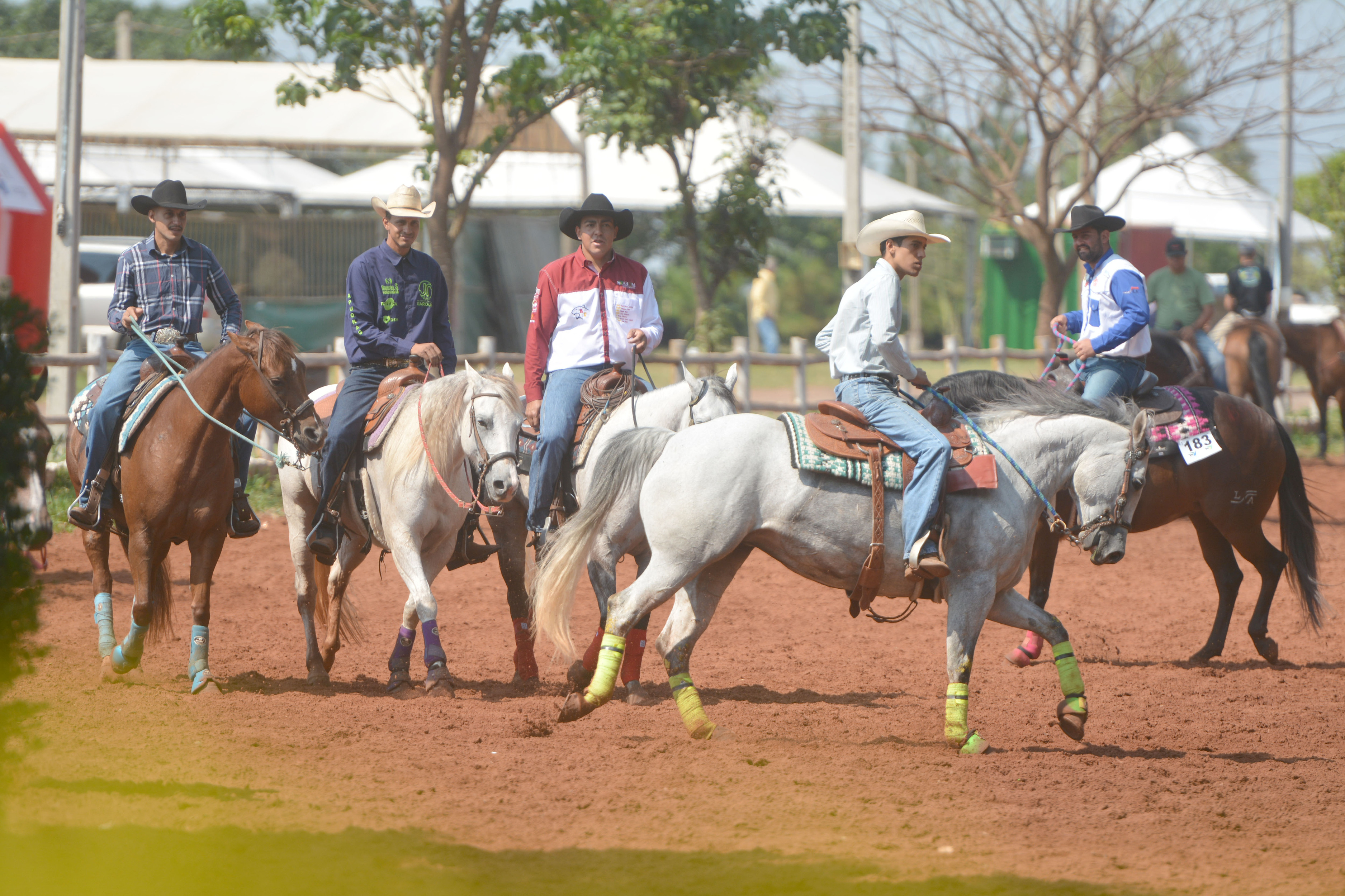 Parque do Peão terá competição feminina de laço neste feriado - Esportes -  Campo Grande News