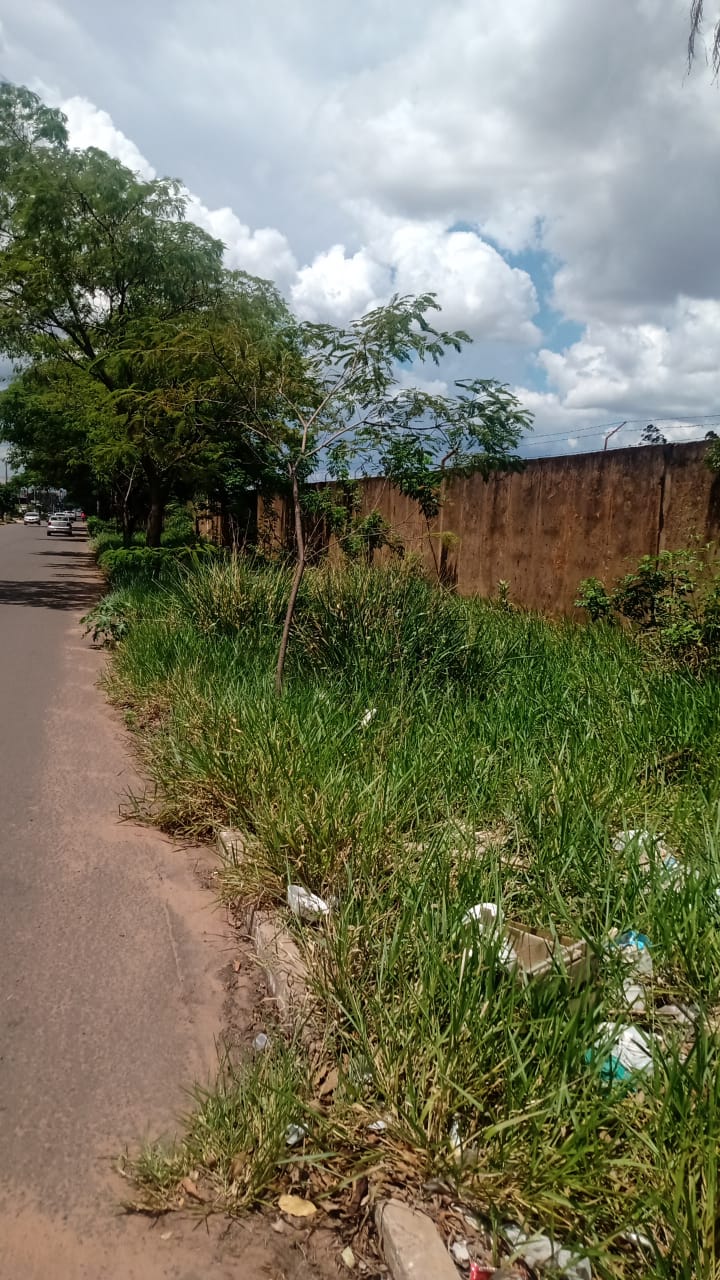 Mato alto na cal&ccedil;ada for&ccedil;am os moradores a transitar na rua, situa&ccedil;&atilde;o pode ocasionar acidentes no local