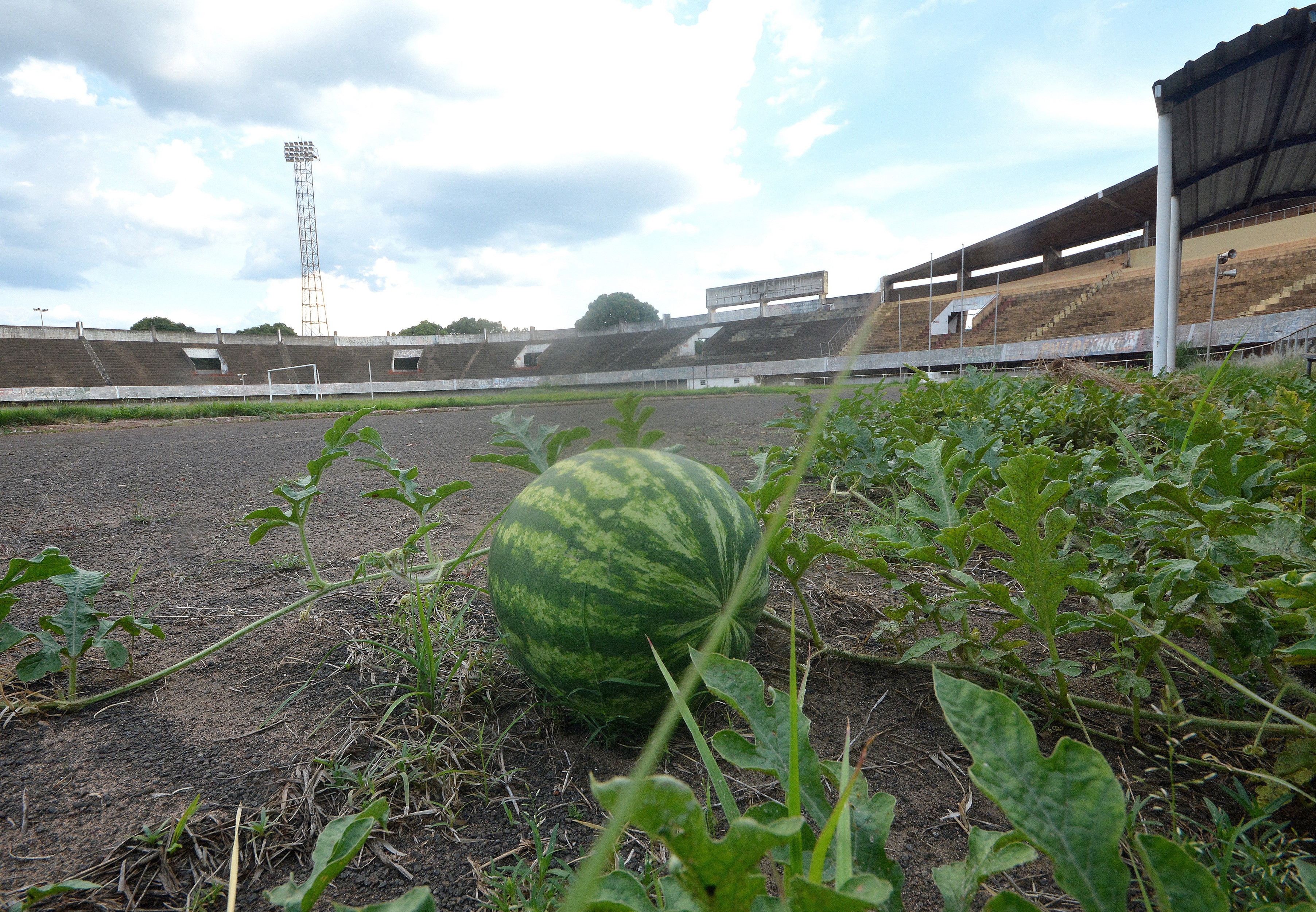 Morenão não vê a 'cor da bola' há quase quatro anos em Campo Grande