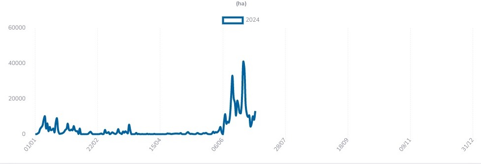 Evolução diária área queimada