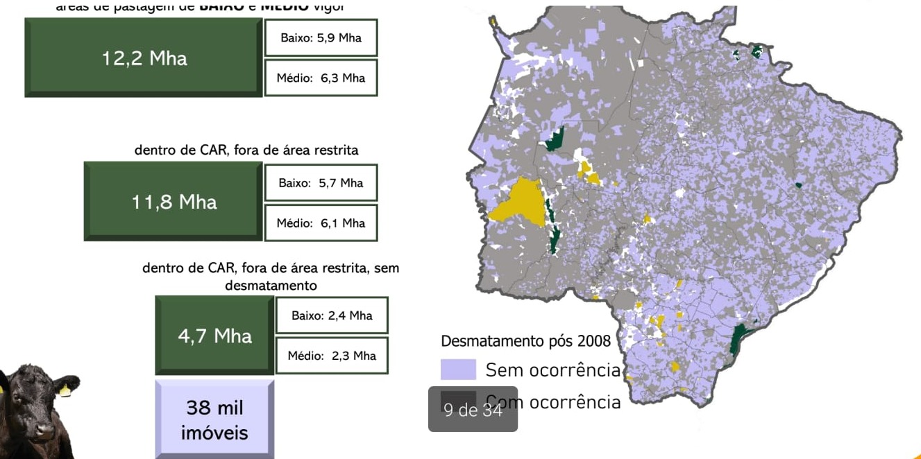 MS tem 4,7 milhões de hectares de pastagens degradadas passíveis de recuperação