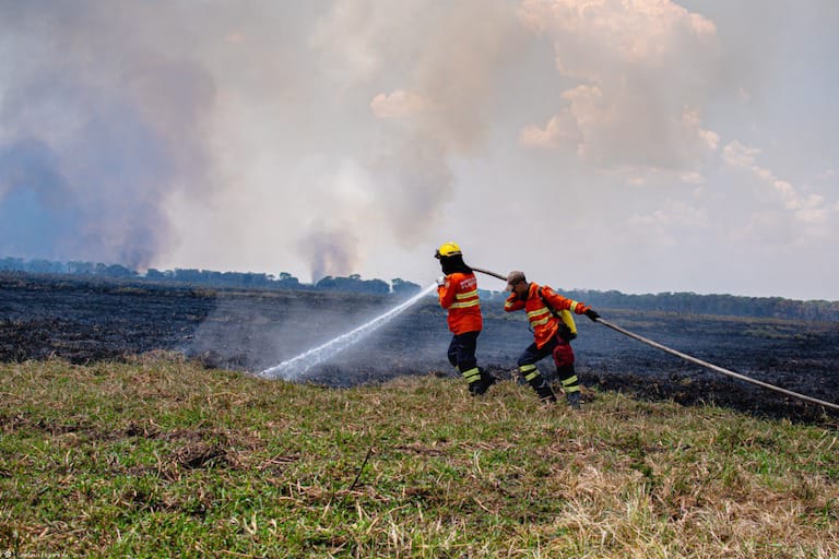 Abaixo assinado para criação da nova Lei do Pantanal federal tem mais de 1,3 milhão de assinaturas