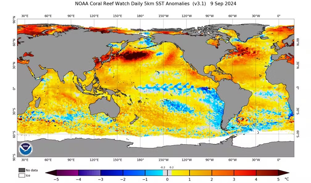 Anomalias da temperatura da superfície do mar em 9 de setembro.