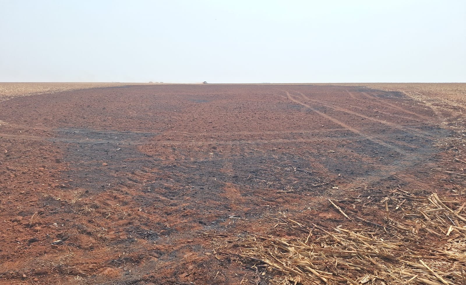 Homens são presos acusados de provocar incêndio em lavouras no MS